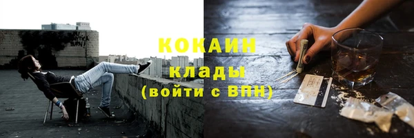 молекула духа Волоколамск