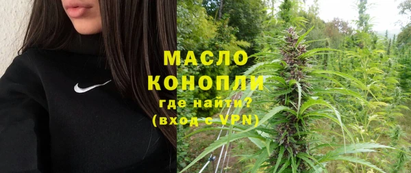 молекула духа Волоколамск
