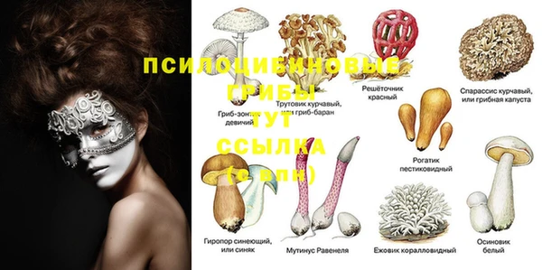 молекула духа Волоколамск